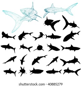 Vector Shark Silhouette Set