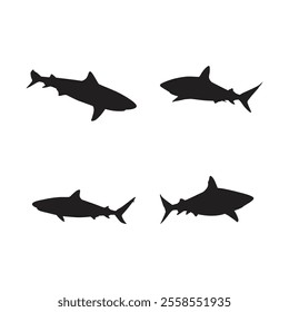 Vector shark silhouette set Isolated on white background design
