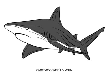 Vector shark, tattoo