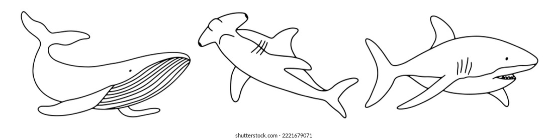 Vector shark and whale isolated on white background. Hand drawn outline doodle illustration ocean or underwater animal for coloring page