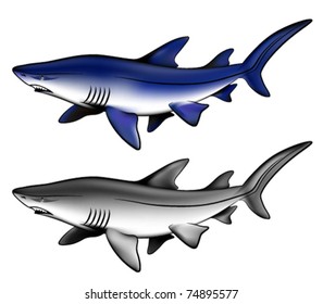 Vector sharks