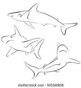 vector sharks drawn in line art style 