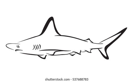 4,820 Shark Line Drawing Stock Vectors, Images & Vector Art | Shutterstock