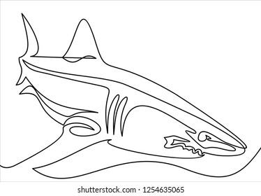 vector sharks drawn in line-continuous line drawing