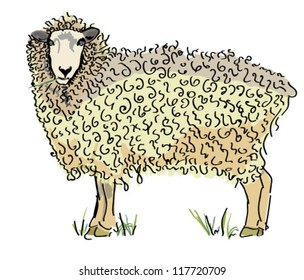 Vector Sheep