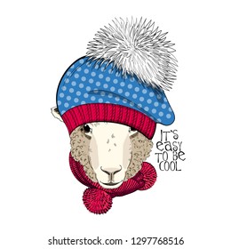 Vector sheep with blue knitted hat and  scarf. Hand drawn illustration of dressed sheep.