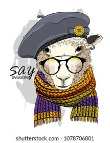 Vector sheep with glasses, grey hat and knitted scarf. Hand drawn illustration of dressed sheep.