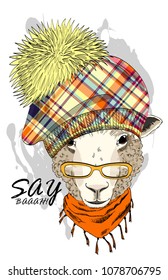 Vector sheep with glasses, hat and orange scarf. Hand drawn illustration of dressed sheep.