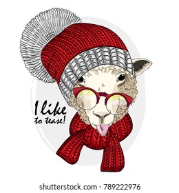 Vector sheep with glasses, knitted hat and scarf. Hand drawn illustration of dressed sheep.