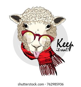 Vector sheep with glasses and scarf. Hand drawn illustration of dressed sheep. Keep it real.