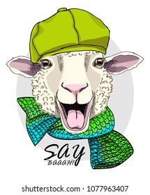 Vector sheep with green cap and knitted scarf. Hand drawn illustration of dressed sheep.