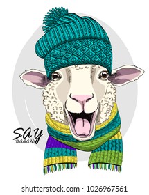 Vector sheep with green knitted hat and knitted scarf. Hand drawn illustration of dressed sheep.