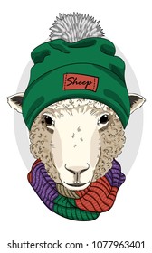 Vector sheep with green knitted hat and knitted scarf. Hand drawn illustration of dressed sheep.