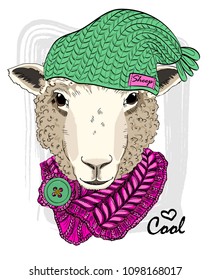 Vector sheep with green knitted hat and knitted scarf. Hand drawn illustration of dressed sheep.