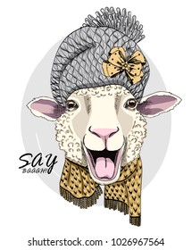 Vector sheep with grey knitted hat and  scarf. Hand drawn illustration of dressed sheep.