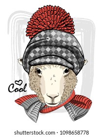 Vector sheep with hat and knitted scarf. Hand drawn illustration of dressed sheep.