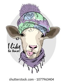 Vector sheep with hat and scarf. Hand drawn illustration of dressed sheep.