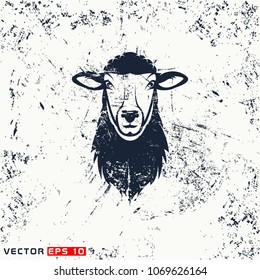 Vector sheep head on grunge background