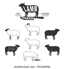 vector sheep icon set, sheep silhouette, isolated sheep, lamb sign, farm logo templates, butcher shop label,cuts of lamb, butcher cuts scheme and design elements