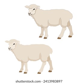 Vector sheep isolated on white background flat with stroke