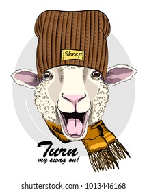 Vector sheep with knitted hat and scarf. Hand drawn illustration of dressed sheep.