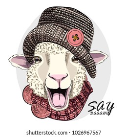 Vector sheep with knitted hat and knitted scarf. Hand drawn illustration of dressed sheep.