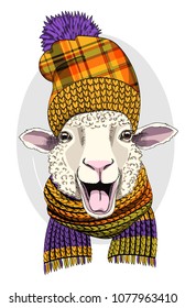 Vector sheep with knitted hat and knitted scarf. Hand drawn illustration of dressed sheep.