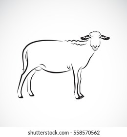 Vector of a sheep on white background. Farm Animal.