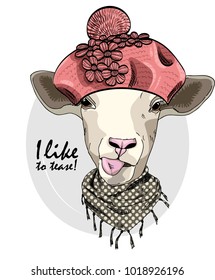 Vector sheep with pink beret and scarf. Hand drawn illustration of dressed sheep.