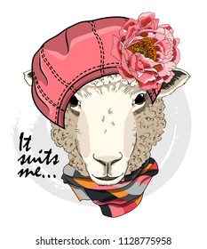 Vector sheep with pink hat, flower and  checkered scarf. Hand drawn illustration of dressed sheep.