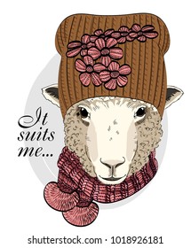 Vector sheep with pink knitted hat and scarf. Hand drawn illustration of dressed sheep.