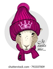 Vector sheep with pink knitted hat and scarf. Hand drawn illustration of dressed sheep.