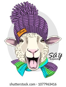 Vector sheep with violet knitted hat and knitted scarf. Hand drawn illustration of dressed sheep.