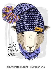 Vector sheep with violet knitted hat and scarf. Hand drawn illustration of dressed sheep.