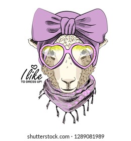 Vector sheep with violet turban, glasses and  scarf. Hand drawn illustration of dressed sheep.