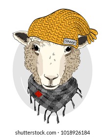 Vector sheep with yellow knitted hat and scarf. Hand drawn illustration of dressed sheep.