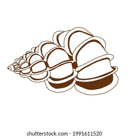 vector shell. can be used as  brand identity, company logo, icons, or others. Color can be changed according to your need.