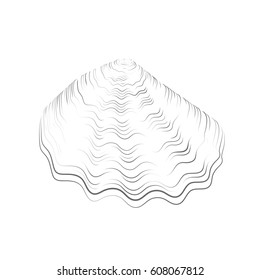 vector shell hand-drawn