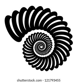 vector shell silhouette