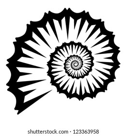 vector shell silhouette