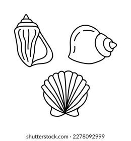 Vector shells in the doodle style. hand drawn seashells black outline sketch isolated elements on white background for design template