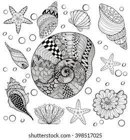 Vector shells set. Seashells isolated on background, zentangle patterned illustration for adult anti stress coloring pages, tattoo design, fabric print. Sea animal illustration. Hand drawn doodle.