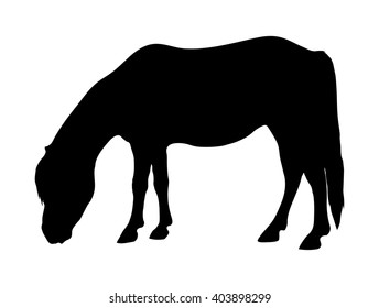 Vector Shetland Pony Silhouette