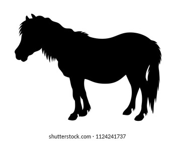Vector Shetland Pony Silhouette Farm Animal Illustration Isolated On White Background