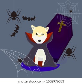 vector shiba inu in dracula costume with bats and spiders a coffin in background use for halloween festival
