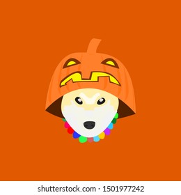 vector shiba inu head wearing halloween pumpkin hat with colorful collar in orange background