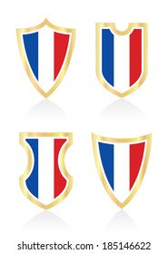 Vector shields with French flag.