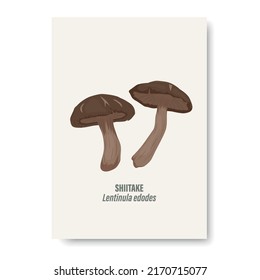 Vector Shiitake Mushroom Isolated on White. Card with Hand Drawn Cartoon Shiitake Mushrooms Couple. Design Template, Clipart. Lentinula Edodes. Mushroom Set