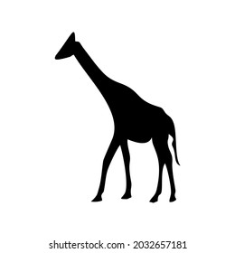 vector shilhouette of giraffe on white background