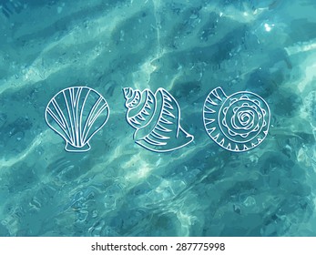 Vector shiny blue ocean realistic water with shells. Summer vector illustration can be used for web design, surface textures, summer posters, trip and vacations cards design.